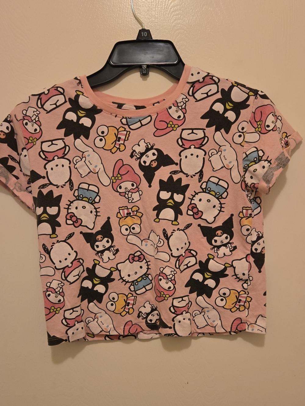 Sanrio Youth Pink Character Mix Short Sleeve Cropped Tee